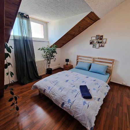 Nice Room 4 Minutes From Basel Shared Apartment 생루이 외부 사진