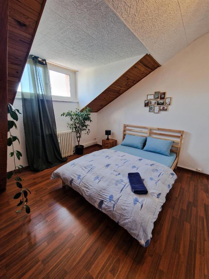 Nice Room 4 Minutes From Basel Shared Apartment 생루이 외부 사진