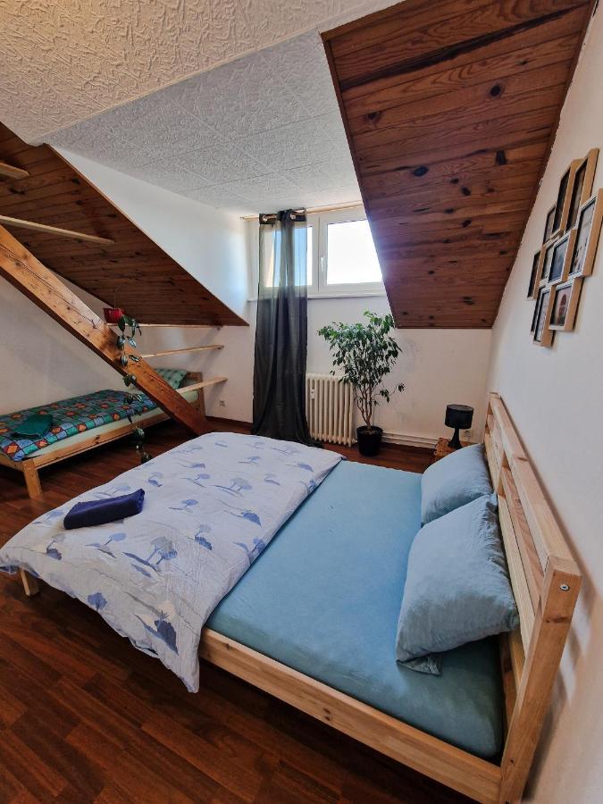 Nice Room 4 Minutes From Basel Shared Apartment 생루이 외부 사진