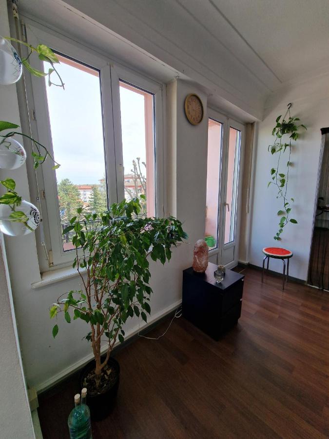 Nice Room 4 Minutes From Basel Shared Apartment 생루이 외부 사진
